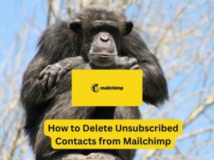 How to Delete Unsubscribed Contacts from Mailchimp